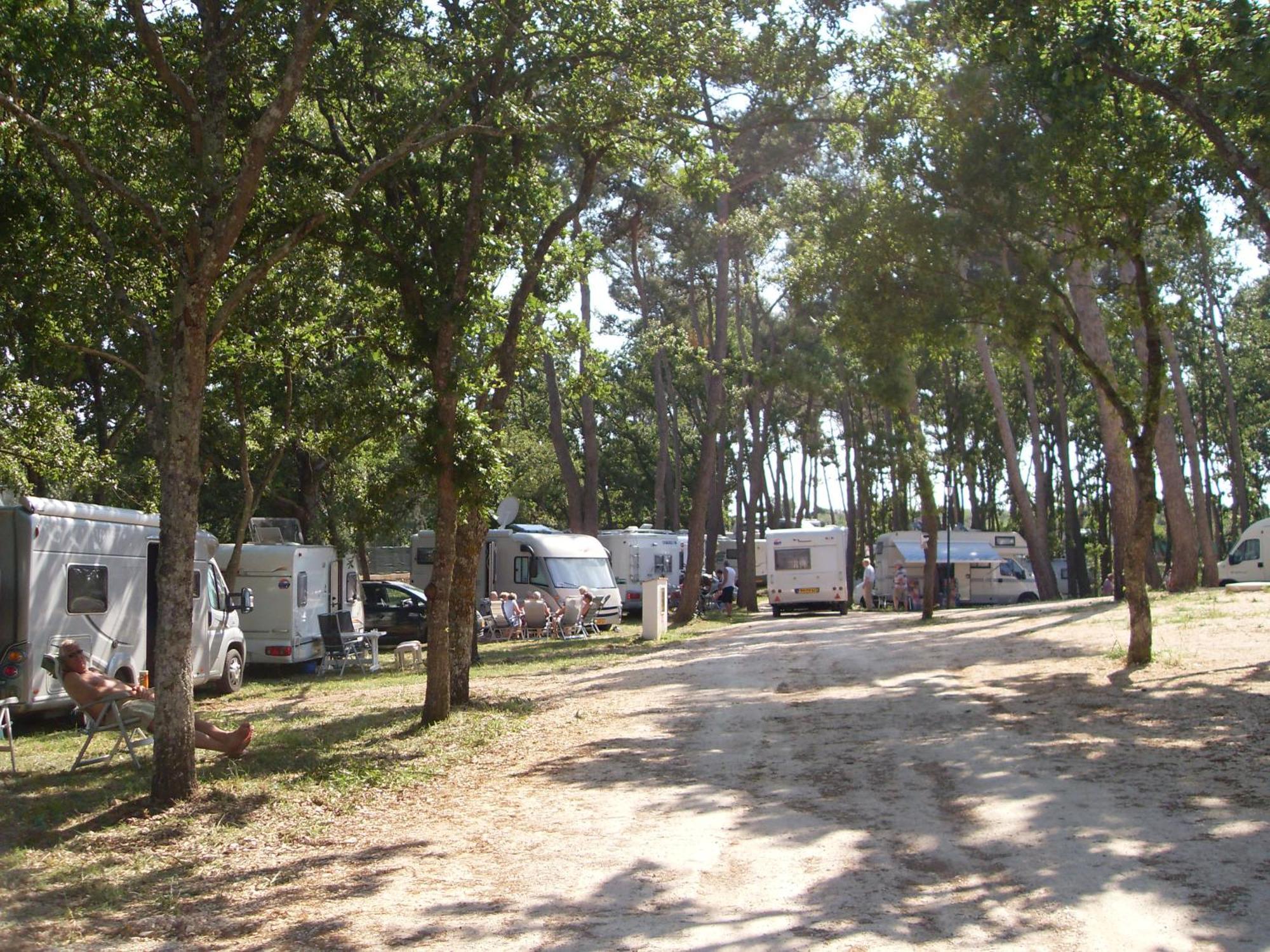 Villaggio Camping Bosco Selva Алберобело Екстериор снимка