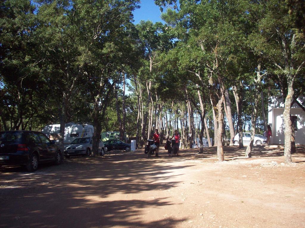 Villaggio Camping Bosco Selva Алберобело Екстериор снимка