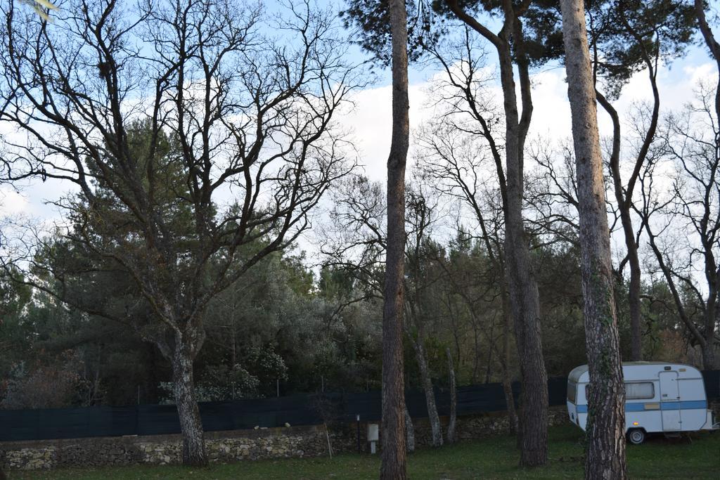 Villaggio Camping Bosco Selva Алберобело Екстериор снимка