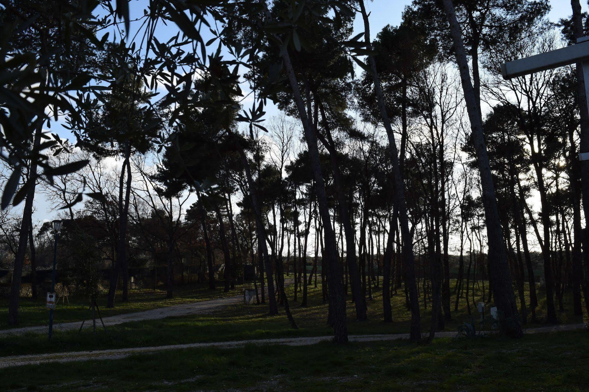 Villaggio Camping Bosco Selva Алберобело Екстериор снимка